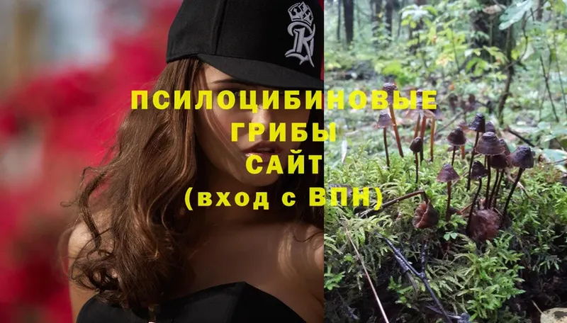 Псилоцибиновые грибы Psilocybine cubensis  где продают   Исилькуль 